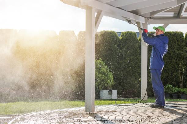 Best Roof Cleaning and Mildew Removal in Shavertown, PA